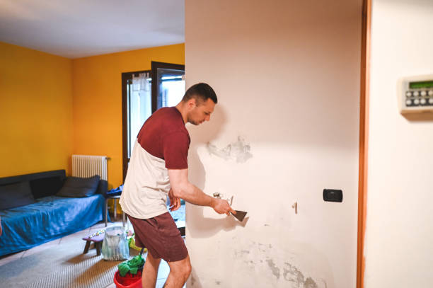 Best Black Mold Removal  in Mount Carmel, IL